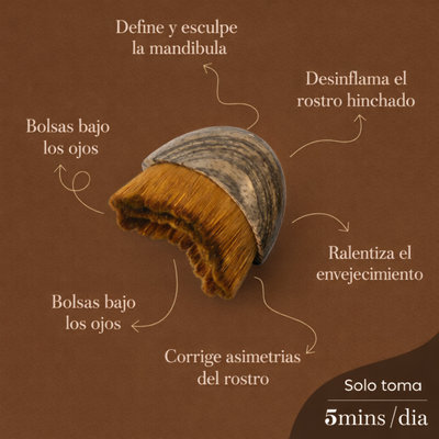 Cepillo COXO™ Drenaje Facial Menos inflamación. Más estructura.