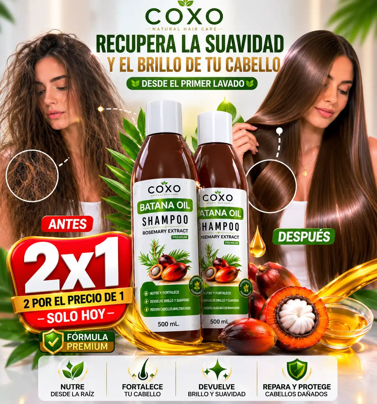 Shampoo Batana Oil COXO 2x1 Solo Hoy | Más suavidad en cada lavado